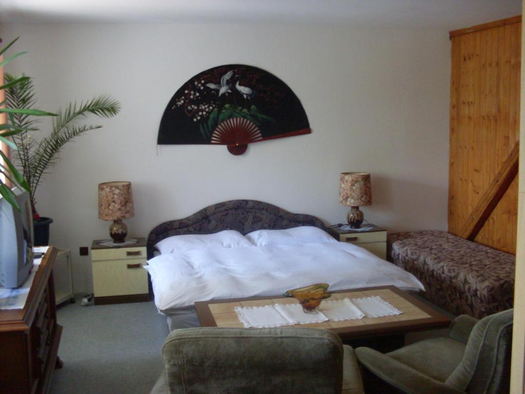 Pension U Kastanu カルロヴィ・ヴァリ 部屋 写真