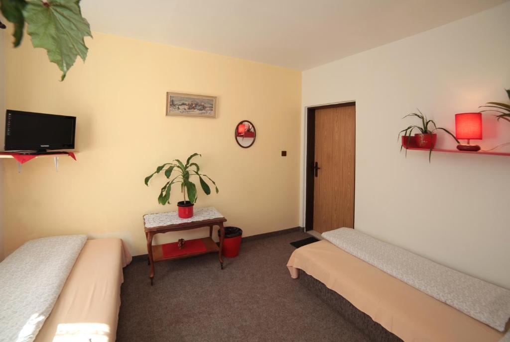Pension U Kastanu カルロヴィ・ヴァリ 部屋 写真